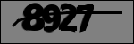 Text der identifiziert werden soll